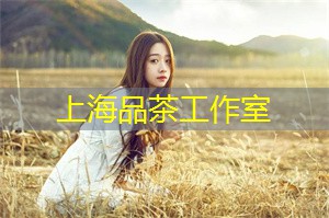 爱上海：不论你是喜欢自然还是文化